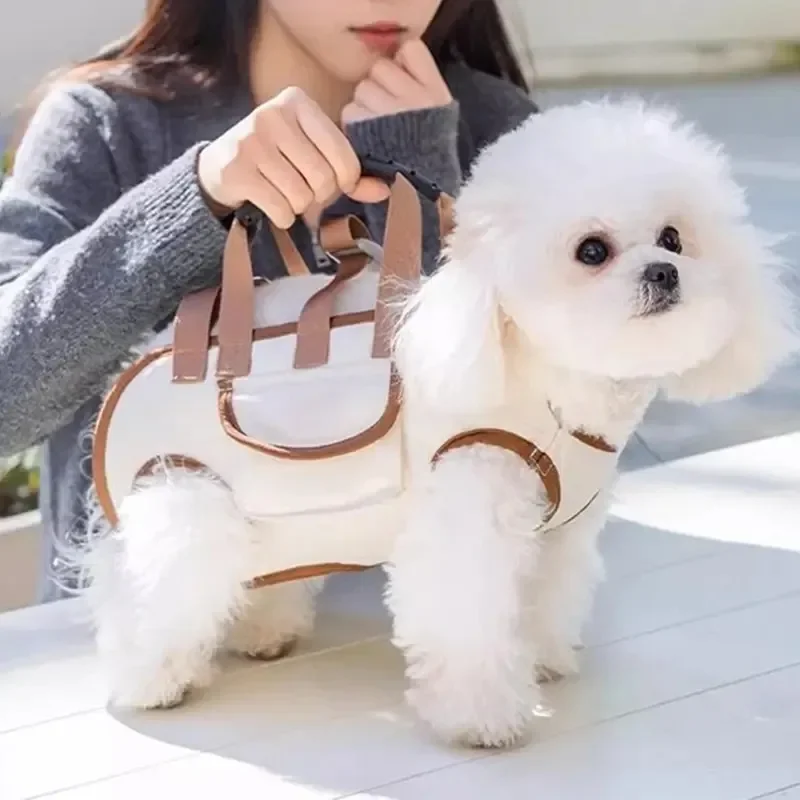 2026 소형견 리프트 하네스 백팩 슬링 캐리어 손잡이 - Heavy Equipment Cat 리뷰 및 가격
